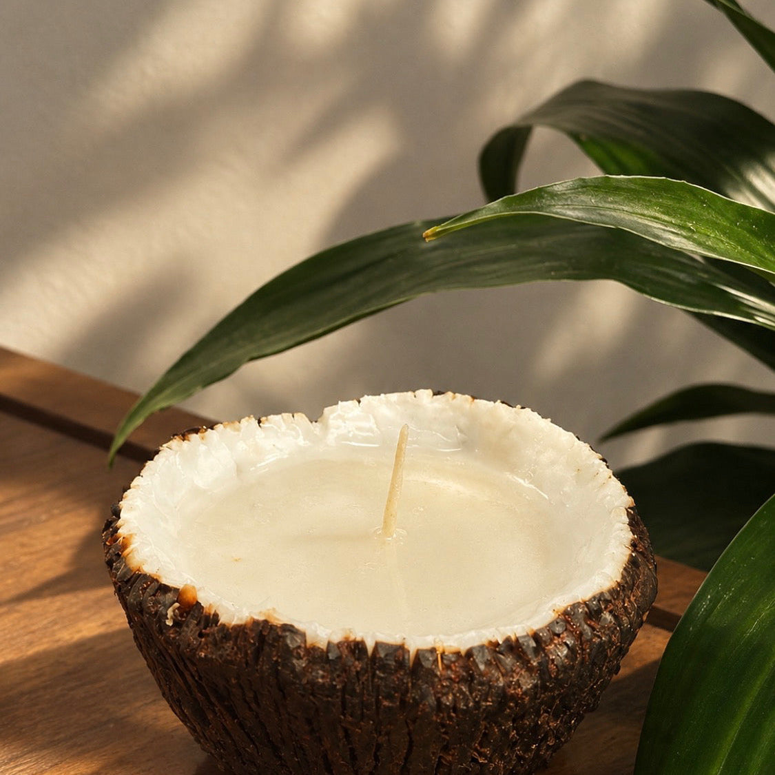 Coconut